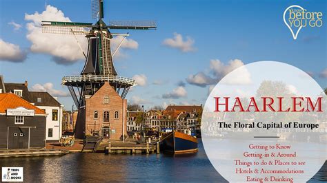 haarlem holland heres        floral capital  europe trips  books