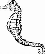 Seahorse Coloring4free Coloring Pages Printable Related Posts sketch template