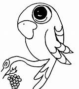 Ausmalbilder Coloring Pages Papagei Bird Funny Birds Characters Gemerkt Von Fictional Disney sketch template