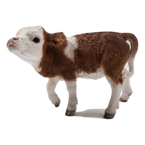 Hi Line T Cow Standing In Brown And White 87705 A The