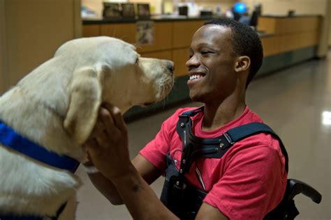 animal assisted therapy aids  rehabilitation process