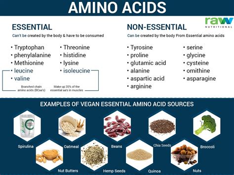 essential   essential amino acids   vegan sources