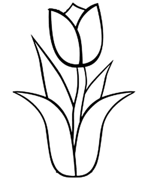 tulip nature  printable coloring pages