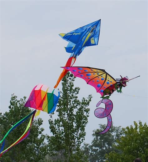 melissa  lee  fly  kite