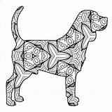 Beagle Coloring4free Coloringbay sketch template
