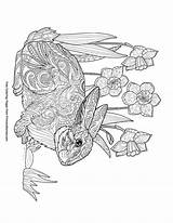 Zentangle Daffodils Primarygames sketch template