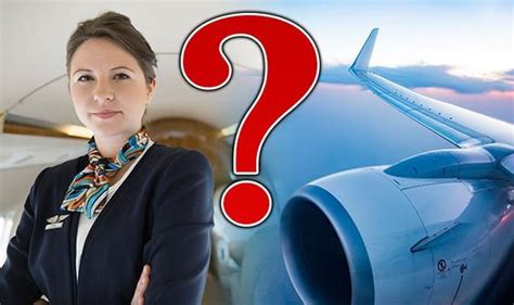 flights cabin crew reveals disgusting thing passenger did on a plane