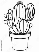 Cactus Coloring Cacti Spikes Linear sketch template