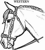 Bridle sketch template
