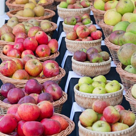 apple varieties  display uk stock photo image  fibre crumble