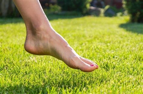 tenets   barefoot startup