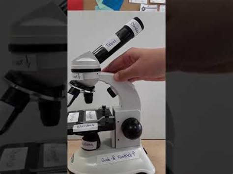 mikroskop aufbau und funktion gsreporter youtube