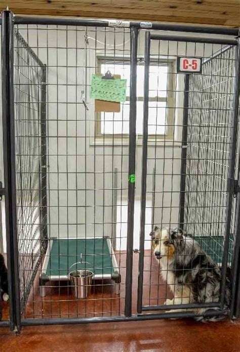 pick  pet boarding kennel  insiders guide tin woof inn