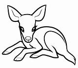 Deer Coloring Baby Pages Printable Kids Drawings Clipart Drawing Easy Cute Animals Draw Color Cartoon Print Animal Sketch Adults Mule sketch template