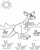 Kangaroo Colouring Cool2bkids Cats sketch template