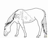Horse Coloring Pages Mustang Wild Horses Para Grazing Drawing Printable Colorear Bucking Outline Pastando Funny Beautiful Caballos Color Running Supercoloring sketch template