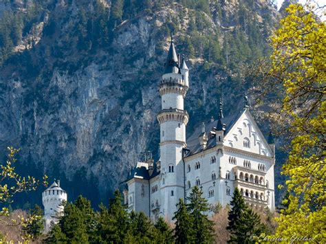 schloss neuschwanstein burg outdooractivecom