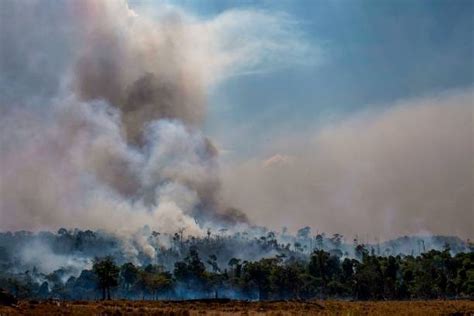 amazon wildfire crisis  nations sign forest protection pact