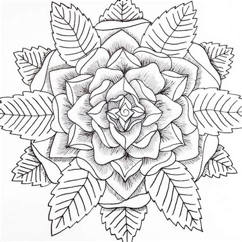 mandala rose coloring pages coloring pages