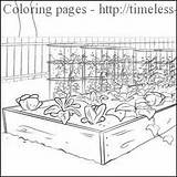 Coloring Pages Garden Vegetable Farm Printable Sheets Preschool Gardens Color Worksheet Book Butterfly Worksheets Farming Miracle Timeless Kids Eco Growing sketch template