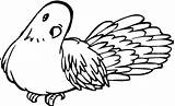 Pigeon Coloring Pages Supercoloring Gif Birds sketch template