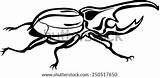 Beetle Hercules Goliath Rhino sketch template