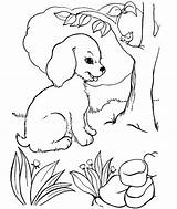 Coloring Dog Pages Print Color Printable Kids Sheet Sheets sketch template