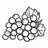 Coloring Pages Grapes Printable Grape Bunch Kids sketch template