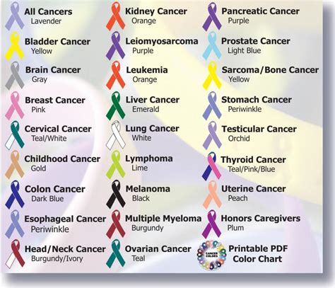 cindys cancer journey  hope pink ribbons