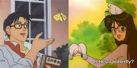 butterfly meme anime butterfly mania