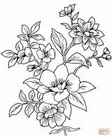 Blumen Ausdrucken Kostenlos Coloring Ausmalbild Kleurplaat Fleur Malvorlagen Kleurplaten sketch template