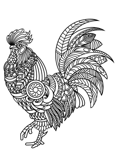 rooster coloring page rooster coloring pages  adults