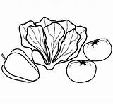 Verduras Colorear Verdure Legumes Desenho Frutas Disegno Stampare Acolore Linea Colorido sketch template
