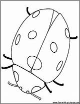 Ladybug Coccinelle Coloriage Ladybugs Coloriages sketch template