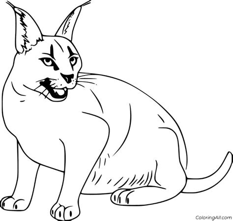 caracal coloring pages   coloring pages marker art caracal