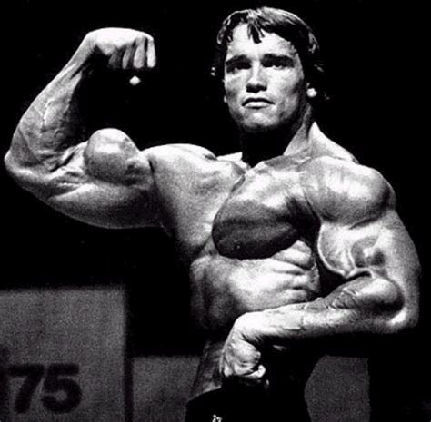 totally muscles arnie