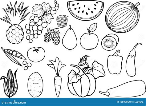 coloring page set   fruits  vegetables stock vector