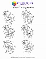 Daffodil Coloring Brando Lisa Worksheet Extreme Zoom Click sketch template