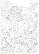 Coloring Pages Horse Color Number Numbers Horses Adult Haven Creative Printable Book Paint Dover Doverpublications Colouring sketch template