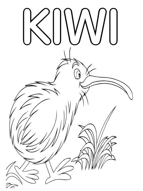 kiwi coloring page  print kiwi      bird   easily