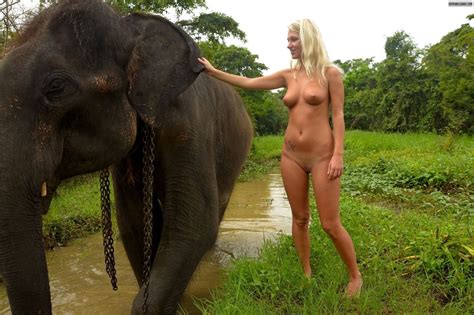 elephant fucks girl datawav