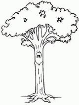 Coloring Trees Kids Pages Cute Gif sketch template