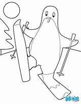 Ski Penguin Coloring Skiing Drawing Doo Pages Color Kids Chinstrap Online Hellokids Print Jet Getdrawings Birds Bird Scooby Printable Preschoolers sketch template
