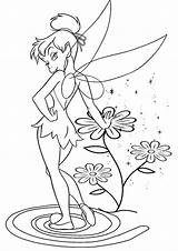 Tinkerbell Tinker Tulamama Colouring sketch template
