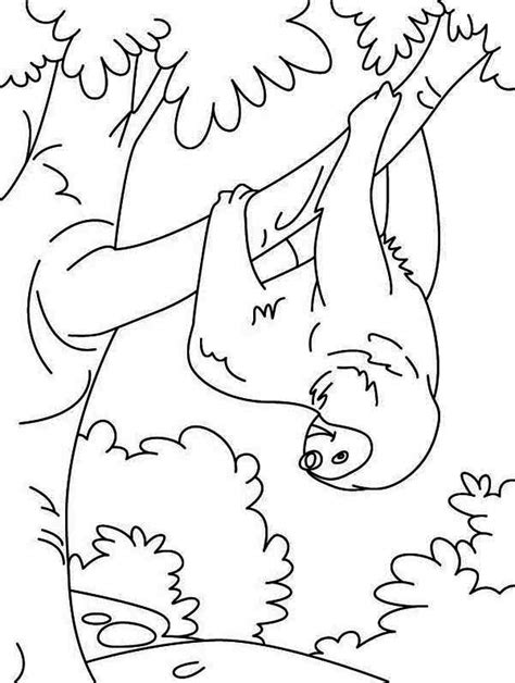 funny animal sloth coloring page color luna love coloring pages