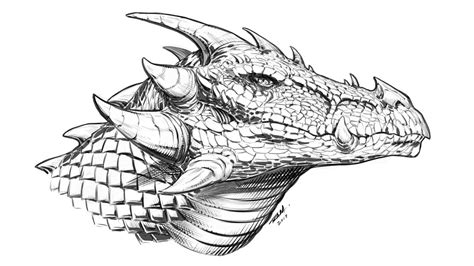 draw  dragon head side view narrated youtube