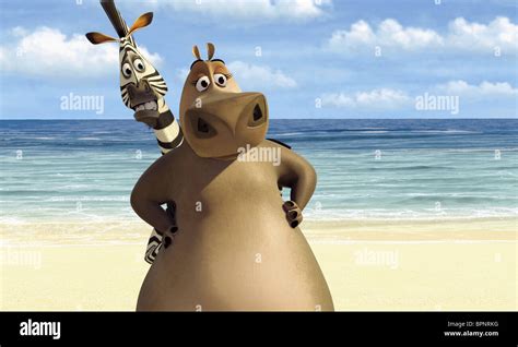 Gloria El Hipopótamo Melman Como Melman Título De Película Madagascar