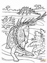 Jurassic Coloring Dinosaur Kentrosaurus Pages Herbivore Allosaurus Printable Template Supercoloring sketch template
