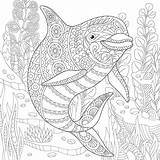 Coloring Pages Adult Ocean Underwater Life Dolphin Print Adults Drawing Animals Printable Sheets Zentangle Book Animal Getdrawings Kids Doodle sketch template