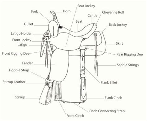 saddle parts davy rippner   western saddle horse lessons horse camp